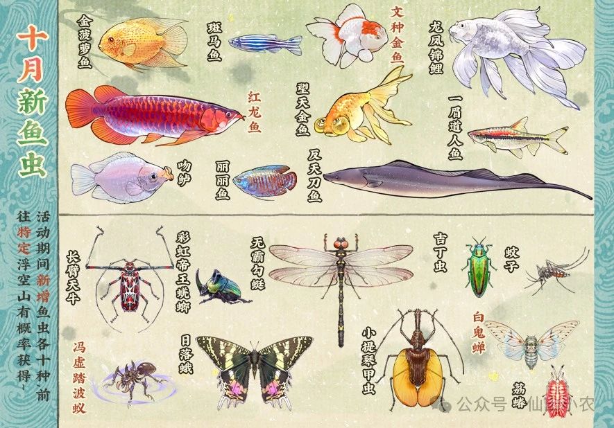 仙山小农十月更新新鱼虫种类邀你探索!
