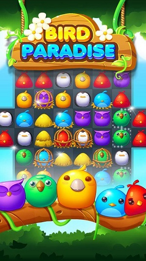 Bird Paradise