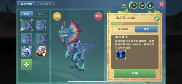 创造与魔法宠物如何捕捉 坐骑宠物需要什么饲料