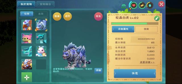 创造与魔法宠物如何捕捉 坐骑宠物需要什么饲料