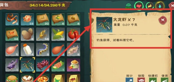 创造与魔法玩家