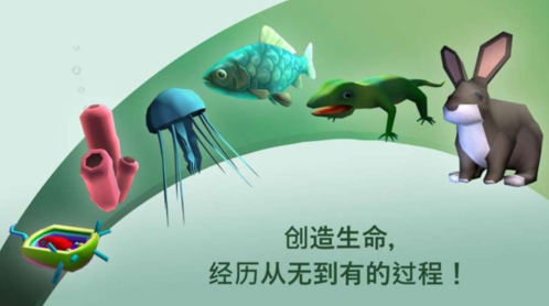 从细胞到奇点2024进化