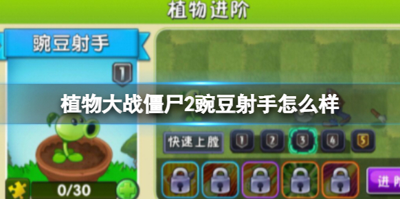 植物大战僵尸2豌豆射手