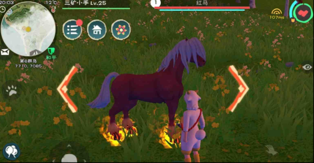 创造与魔法玩家