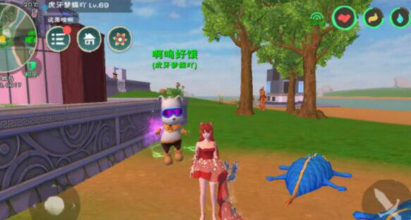创造与魔法肉块