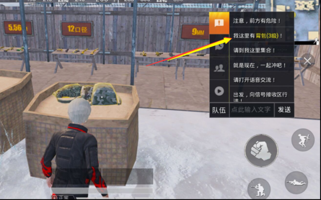 和平精英物资