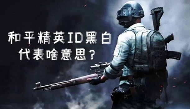 和平精英是什么意思