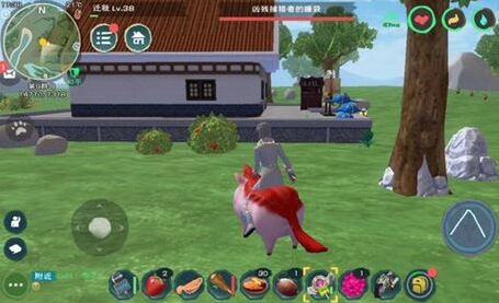 创造与魔法的猪怎么抓