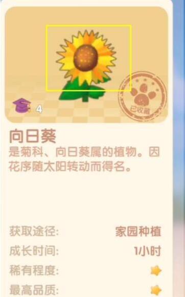 摩尔庄园钓鱼