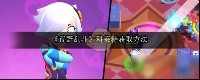 荒野亂斗科萊特