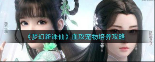 夢(mèng)幻新誅仙新誅仙