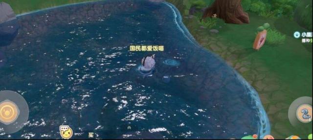 摩尔庄园玄冰