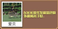 瘋狂動物園圖鑒