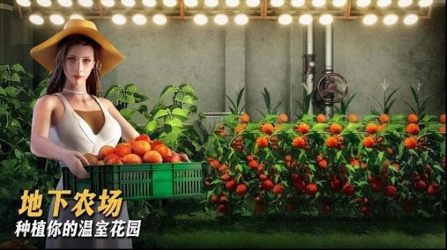 七號堡壘秘密國際服(Last Fortress)玩家