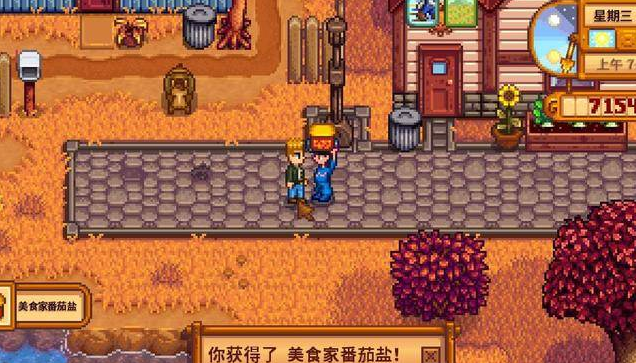 星露谷物语妻子