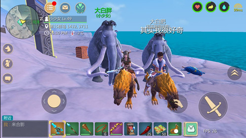 創造與魔法動物