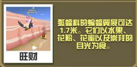 疯狂动物园狐蝠大全 狐蝠属性图鉴