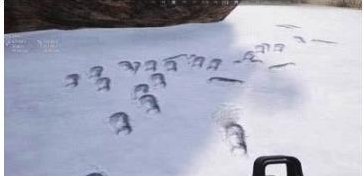 絕地求生：刺激戰(zhàn)場(chǎng)雪地地圖