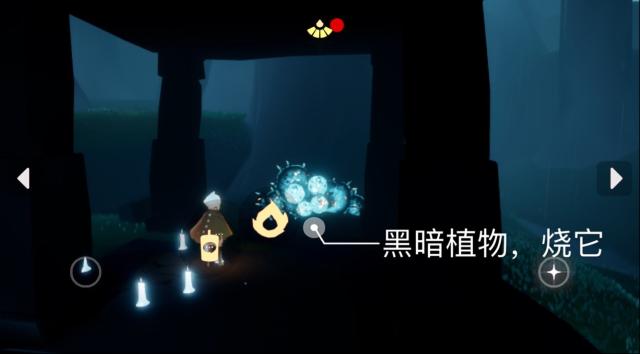 光遇瓣花