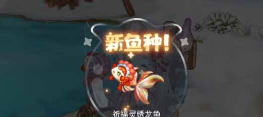 奧比島夢(mèng)想國(guó)度釣魚(yú)