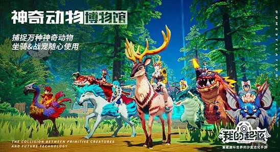 我的起源玩家