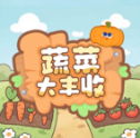 蔬菜大丰收