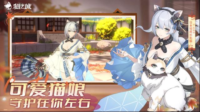 猫之城玩家