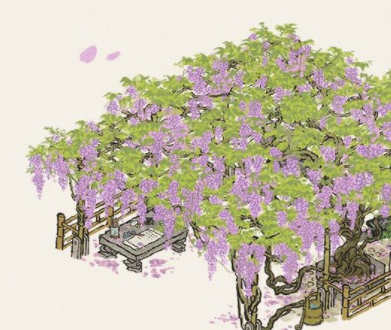 江南百景圖紫藤花