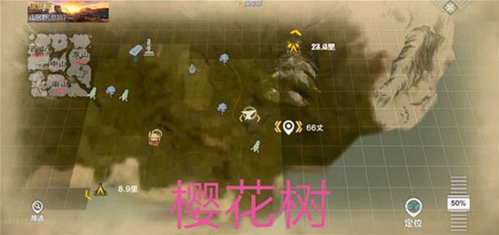 妄想山海樱花树苗