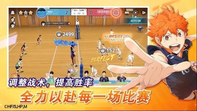 排球少年新的征程新的征程