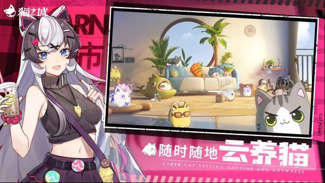 貓之城云燦