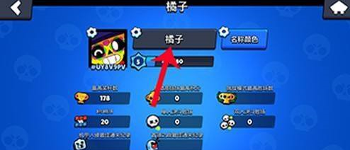 荒野亂斗名稱