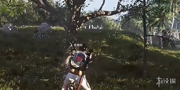 七日世界苹果怎么