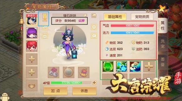 大唐榮耀寶寶