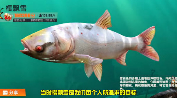 欢乐钓鱼大师钓鱼