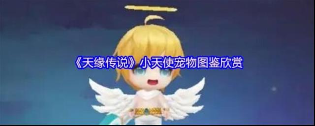 天緣傳說寵物圖鑒