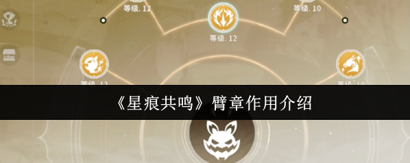 星痕共鳴臂章