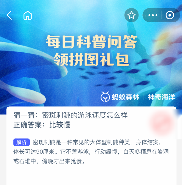 支付寶比較慢