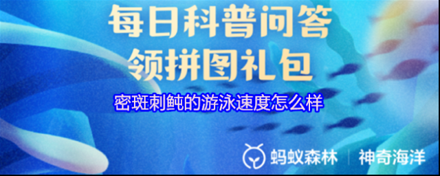 支付寶密斑刺鲀