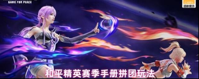 和平精英團隊
