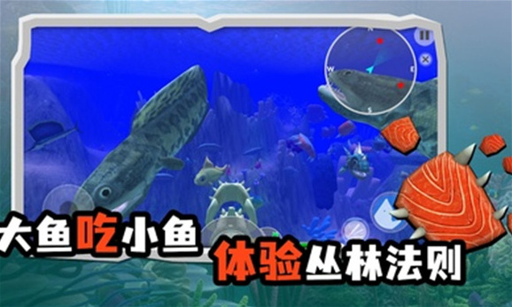 海底大獵殺魚類