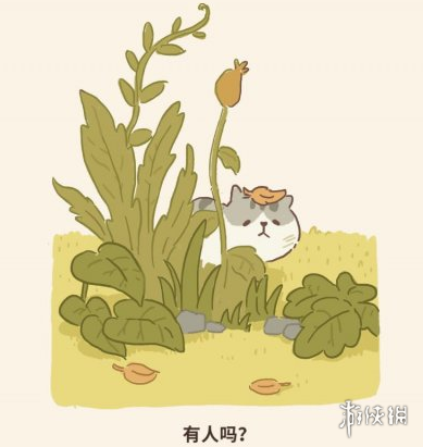 動(dòng)物餐廳來(lái)訪