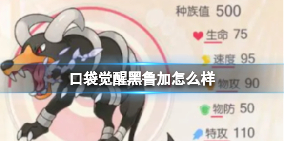 口袋覺醒黑魯加