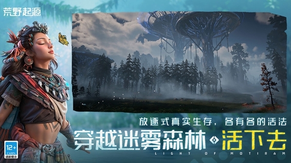 荒野起源探索