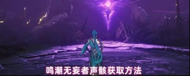鸣潮声骸