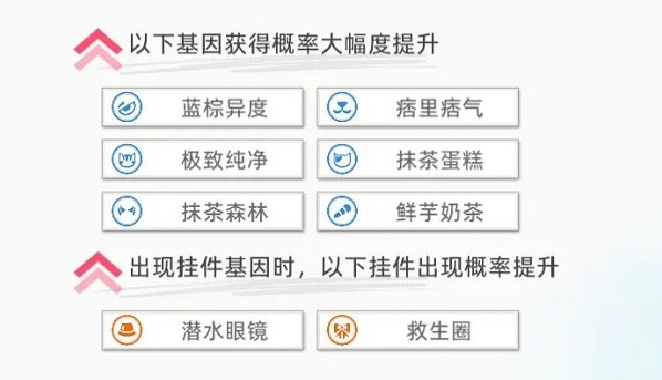猫之城救援