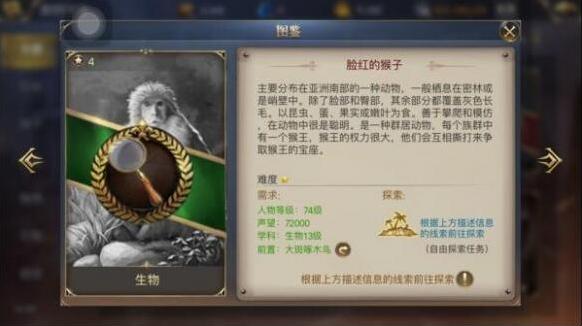 大航海之路卡卡