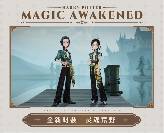 哈利波特魔法觉醒魔法觉醒