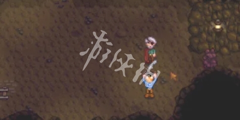 游俠網(wǎng)5