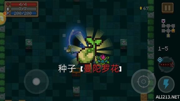 元气骑士小精灵